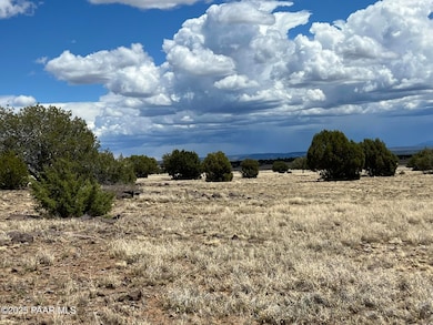 70 Off of Volcano, Ash Fork, AZ 86320 - photo 5