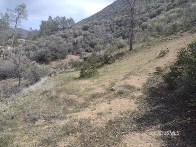 67 Spring, Bodfish, CA 93205 - photo 6