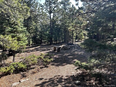 53 Pine Eagle Ct, Westcliffe, CO 81252 - photo 5