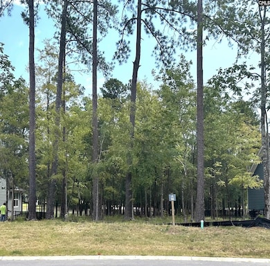 569 Misty Banks Dr, Chapin, SC 29036 - photo 2