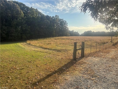 3075 Benny Lineberry Rd, Climax, NC 27233 - photo 2