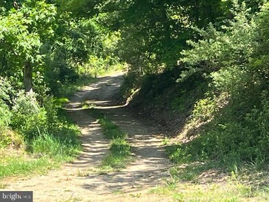 0 Proctor Rd unit WVHS2003342, Purgitsville, WV 26852 - photo 6