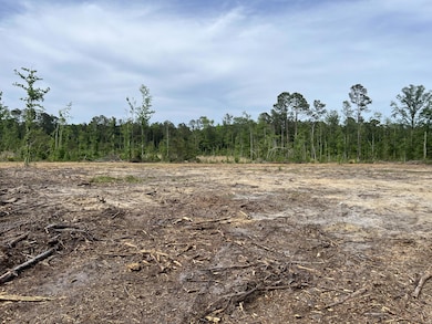 277 Herndon St, Walterboro, SC 29488 - photo 2