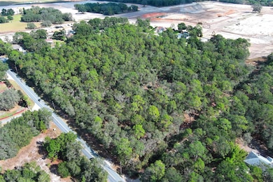 0 Rolling Ares Rd W unit MFRO6365069, Lady Lake, FL 32159 - photo 6