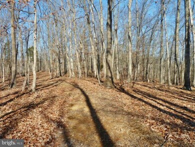 LOT 33 Comforter Ln, North River, VA 22645 - photo 5