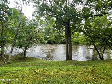 IMG_0003