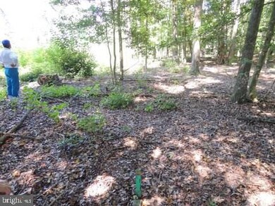 Lot 5 Asketum Branch Rd unit 5, Georgetown, DE 19947 - photo 3