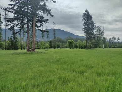 136 Timber Axe Ln, Columbia Falls, MT 59912 - photo 5