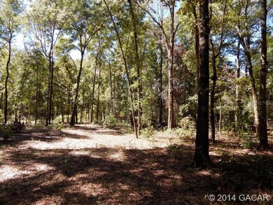 00 276th Terrace, Branford, FL 32008 - photo 2