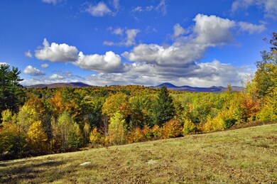 Fall View