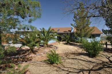 View of the back yard