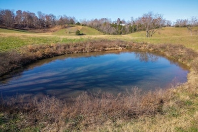 33.58 AC E Bethlehem Rd, Sparta, TN 38583 - photo 6