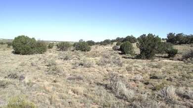 2978 S Lowell Dr, Valle, AZ 86046 - photo 7