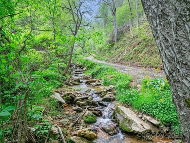 0 Fire Scald Rd unit CAR4252435, Green Mountain, NC 28740 - photo 4