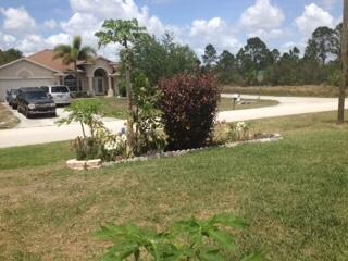 Landscaping bed