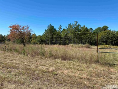 10960 10960 Cr 233, Arp, TX 75750 - photo 2