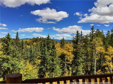 502 Osprey Rd, Como, CO 80432 - photo 5