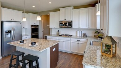 A wonderful modern kitchen, with double ovens, gra