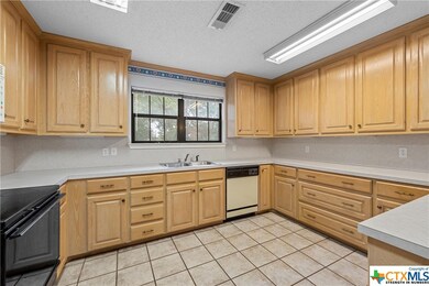 239 Deer Trail, Bruceville, TX 76630 - photo 5