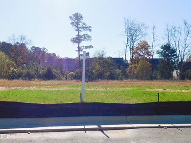 717 Ahad Ct, Apex, NC 27523 - photo 5