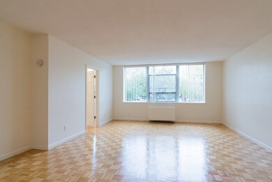 Hammond Park Condominiums unit 104, Chestnut Hill, MA 02467 - photo 6