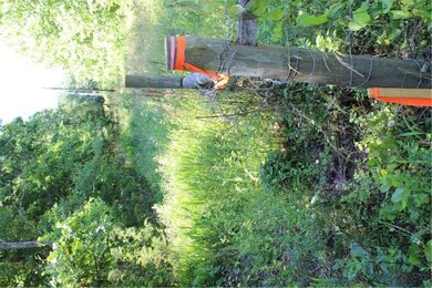 0 Armstrong unit 1017797, Fayetteville, AR 72701 - photo 7