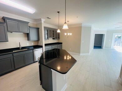 165 Ella Kinley Cir unit 305, Myrtle Beach, SC 29588 - photo 7