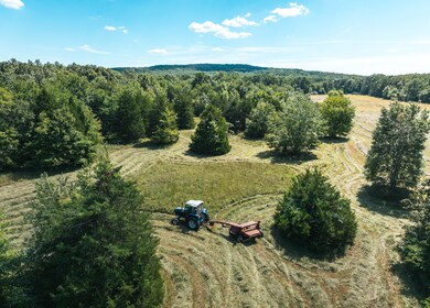 0 Highway 221 unit 11571616, Ironton, MO 63650 - photo 4