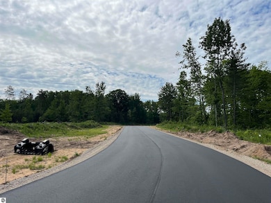 TBD Theron Rd unit D, Traverse City, MI 49685 - photo 6