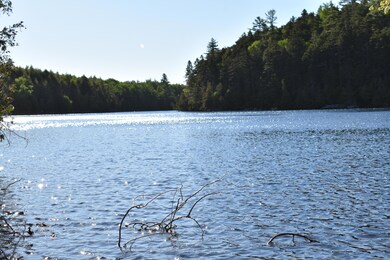 Lot 1B-9 Upper Dark Cove Rd, Weston, ME 04424 - photo 3