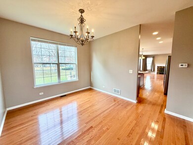 138 Redmond Dr, Gilberts, IL 60136 - photo 6