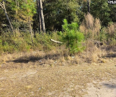 37 Levant Byas Rd, Saint Helena Island, SC 29920 - photo 4