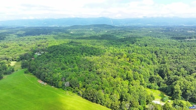 1293 Pounding Creek Rd, Charlottesville, VA 22903 - photo 6