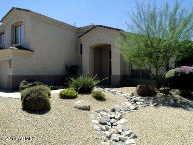 Mature Landscaping