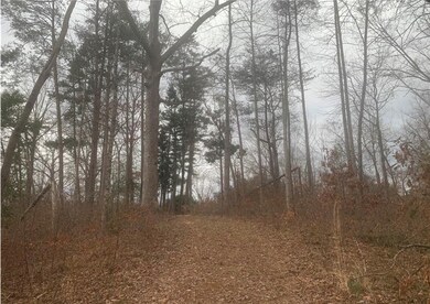 00 N Catherine St, Walhalla, SC 29691 - photo 3