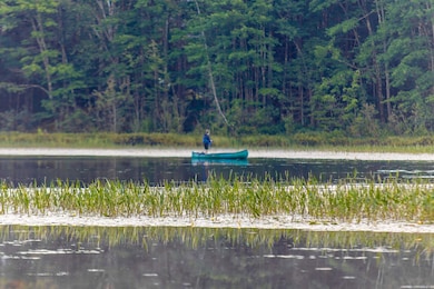 900 Bunker Hill Rd, South Tamworth, NH 03883 - photo 7
