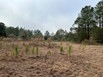 0 Turner Church Rd, Enigma, GA - photo 7