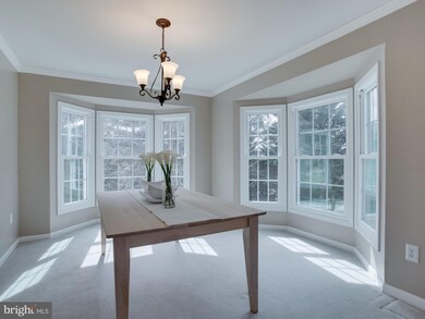 6114 Flemish Blue Ct, Sykesville, MD 21784 - photo 7