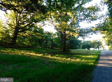 0 Lewisville Rd unit VACL111672, Berryville, VA 22611 - photo 7