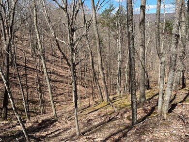 0 Back Cr S Sec Rt 23 5 39 9 unit 23-18, Union, WV 24983 - photo 5