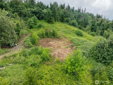 4135 Kamphouse Dr, Sumas, WA 98295 - photo 4