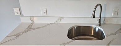 118 Winthrop St unit 3, Boston, MA 02119 - photo 4