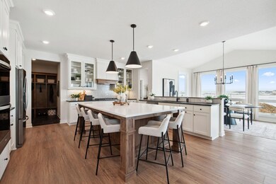 1236 Ardara Ridge Rd, Rosemount, MN 55068 - photo 5