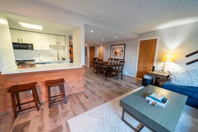 339 Handle Rd unit H, Dover, VT 05356 - photo 6