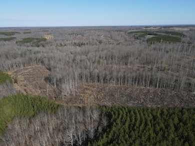 0 Old Highway 18 unit 24351588, Stewart, TN 37175 - photo 3