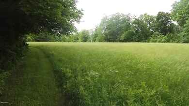field