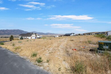 View of mountain background