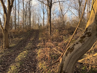 0 Benson Rd, Victor, NY 14564 - photo 4