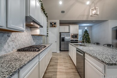 17731 Handies Peak, Helotes, TX 78023 - photo 6