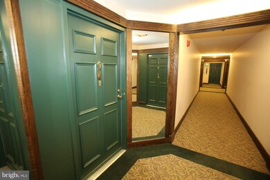 1 Southerly Ct unit 205, Towson, MD 21286 - photo 7